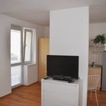 Rent 1 bedroom apartment of 35 m² in Číhošť