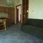 2-room flat good condition, ground floor, Centro, Gabicce Mare