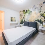 Rent 2 bedroom apartment of 47 m² in Bielsko-biała