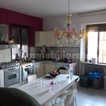 Rent 4 bedroom house of 110 m² in Fermo