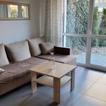 Rent 2 bedroom apartment of 34 m² in Siedlce