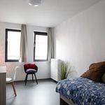  appartement avec 1 chambre(s) en location à Tournai