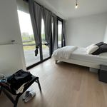  appartement avec 3 chambre(s) en location à Ruiselede