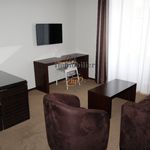 Rent 2 bedroom apartment of 35 m² in Saint-Affrique