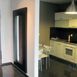 Rent 2 bedroom apartment of 58 m² in Kraków