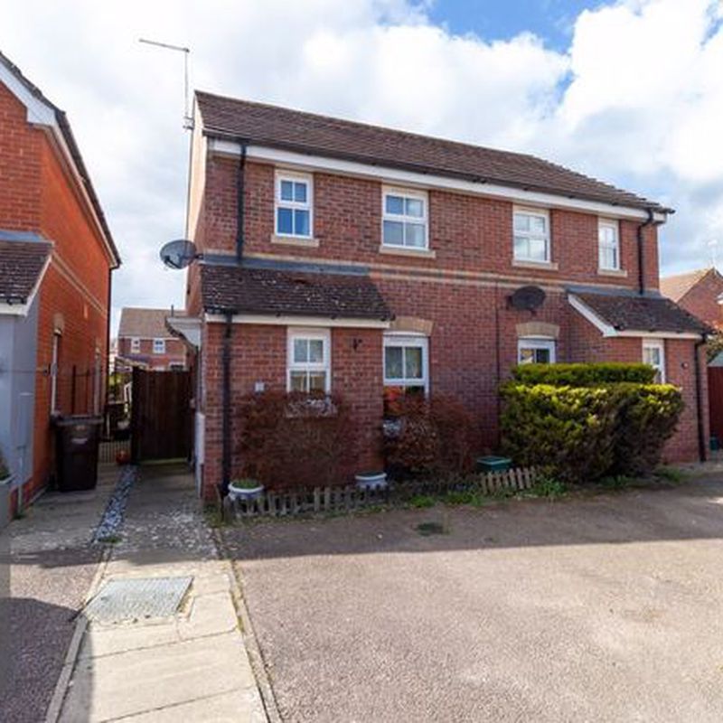 Semi-detached house to rent in The Drove, Taverham, Norwich NR8