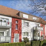 Rent 1 bedroom apartment of 42 m² in Essen