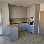 Rent 2 bedroom apartment of 68 m² in Uničov