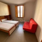 Rent 4 bedroom apartment of 50 m² in Adria