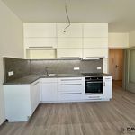Rent 1 bedroom apartment of 52 m² in Nové Město na Moravě