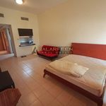 Rent 1 bedroom apartment of 538 m² in Jabal Ali 1