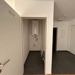 Rent 2 bedroom apartment of 45 m² in Graz