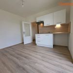 Rent 1 bedroom apartment of 40 m² in Havířov