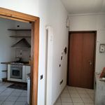 Affitto 3 camera appartamento di 97 m² in florence