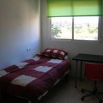 Alquilar 4 dormitorio apartamento en Murcia