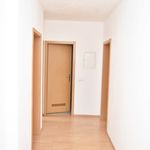 Rent 3 bedroom apartment of 55 m² in Chemnitz