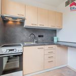 Rent 1 bedroom apartment of 34 m² in Prostějov