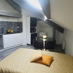 Rent 1 bedroom apartment of 14 m² in Saint-Martin-d'Hères