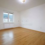 Rent 2 bedroom apartment of 62 m² in Kraslice