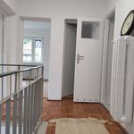 Rent 7 bedroom house of 140 m² in Szczecin