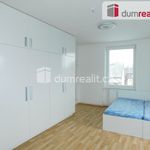 Rent 1 bedroom apartment of 45 m² in Krnov