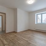Rent 4 bedroom apartment of 99 m² in Litvinov