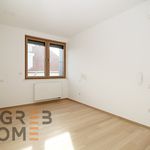 Rent 4 bedroom apartment of 190 m² in Zagreb