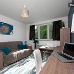 Appartement de 21 m² avec 1 chambre(s) en location à Talence