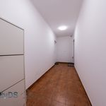 Rent 3 bedroom apartment of 80 m² in Zichovec