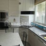 Affitto 4 camera appartamento di 150 m² in Torino