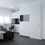 Miete 1 Schlafzimmer wohnung von 26 m² in Offenbach am Main
