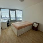 Rent 3 bedroom apartment in Konstantinovy Lázně