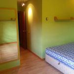 Rent a room in Pozuelo de Alarcón