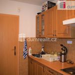 Rent 1 bedroom apartment of 20 m² in Mnichovo Hradiště
