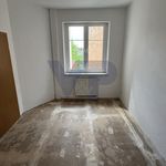 Rent 2 bedroom apartment of 47 m² in Gera