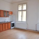 Rent 1 bedroom apartment of 52 m² in Duchcov