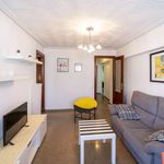 Alquilo 3 dormitorio apartamento de 67 m² en València