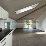 Rent 2 bedroom apartment of 55 m² in Acquarossa