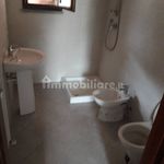 Rent 2 bedroom apartment of 54 m² in Pistoia