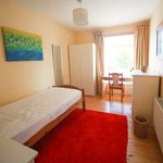 Rent a room of 80 m² in Ballyboden