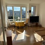 Rent 2 bedroom apartment of 38 m² in Braunschweig