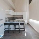 Affitto 4 camera casa di 223 m² in Milan