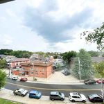 Rent 2 bedroom student apartment of 74 m² in Pittsburgh