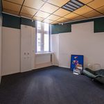 Rent 1 bedroom apartment of 500 m² in Antwerpen