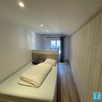Appartement de 31 m² avec 1 chambre(s) en location à Saint-Mamet