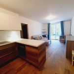 Rent 1 bedroom apartment of 42 m² in Centre Ville