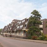 Rent 1 bedroom apartment of 50 m² in Sliedrecht