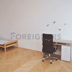 Rent 1 bedroom apartment of 15 m² in Brno
