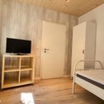 Miete 4 Schlafzimmer wohnung von 55 m² in Uelzen