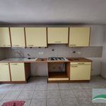 Rent 1 bedroom apartment in Lodève